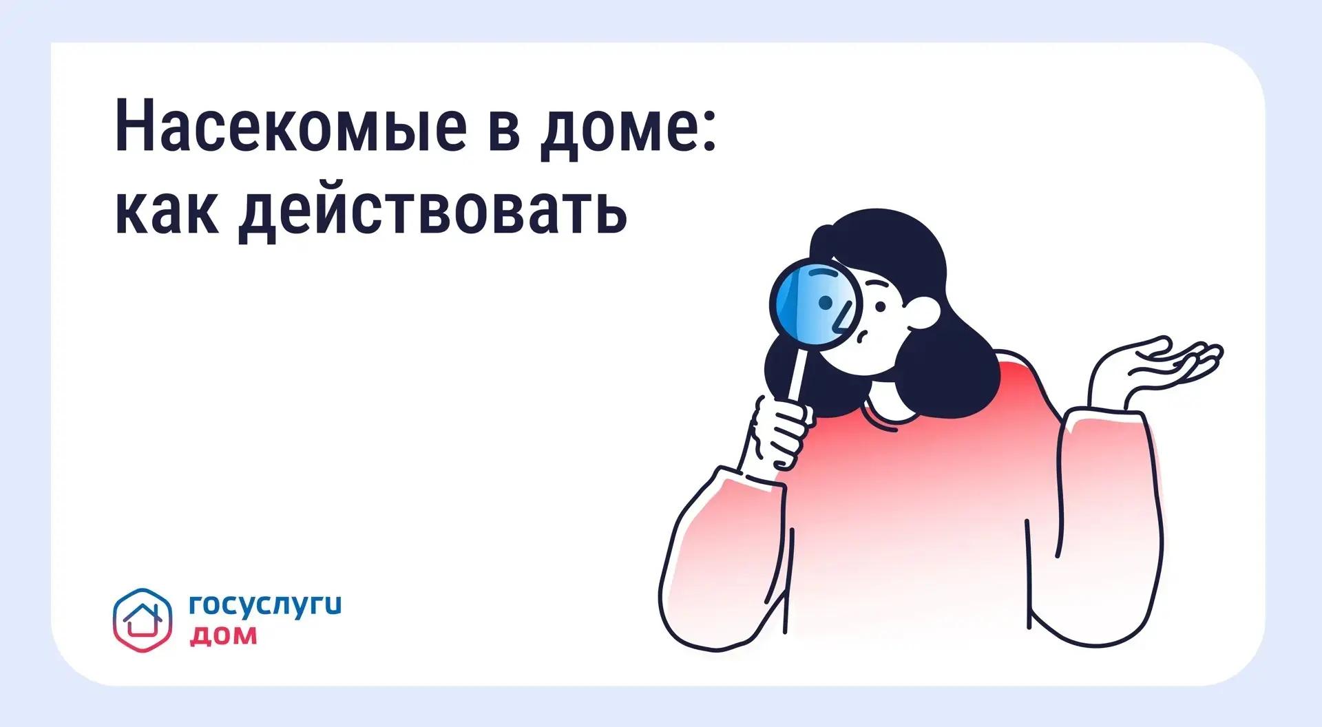 Белогорцам разъяснили, кто отвечает за дезинсекцию в МКД и как действовать при появлении насекомых